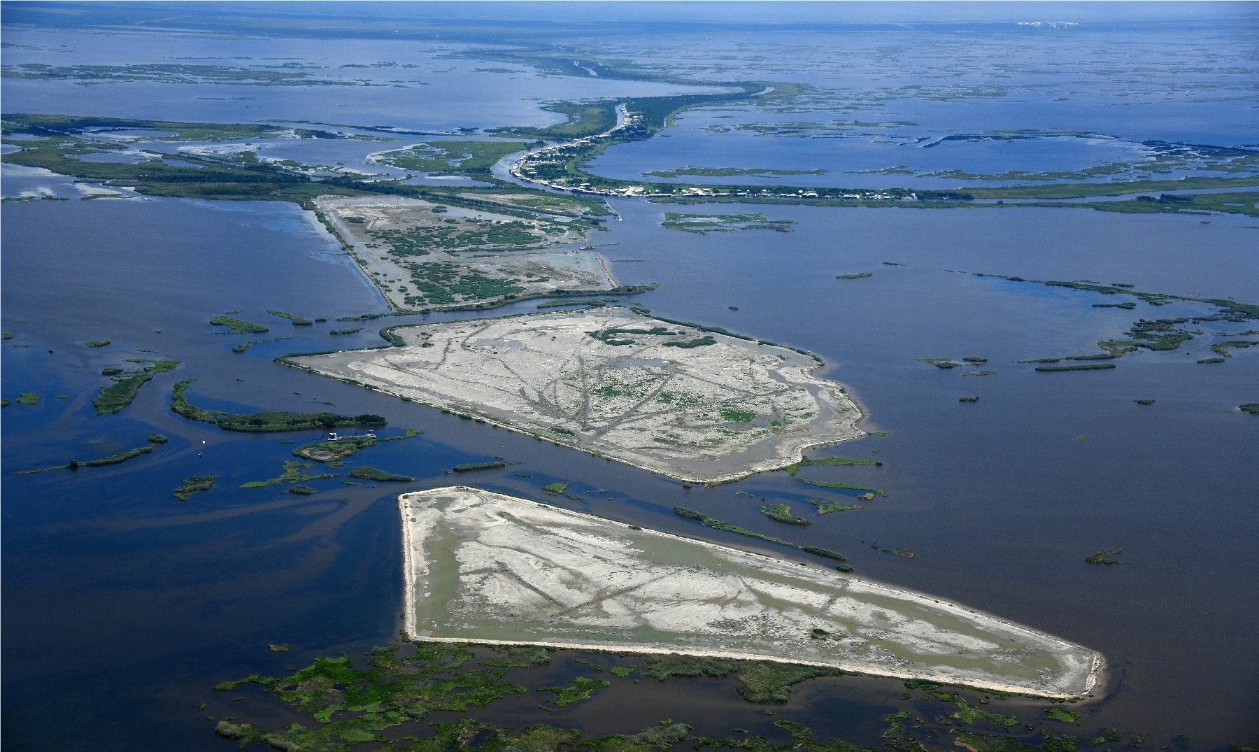 Sediment placement and vegetation colonization near Delacroix, Louisiana